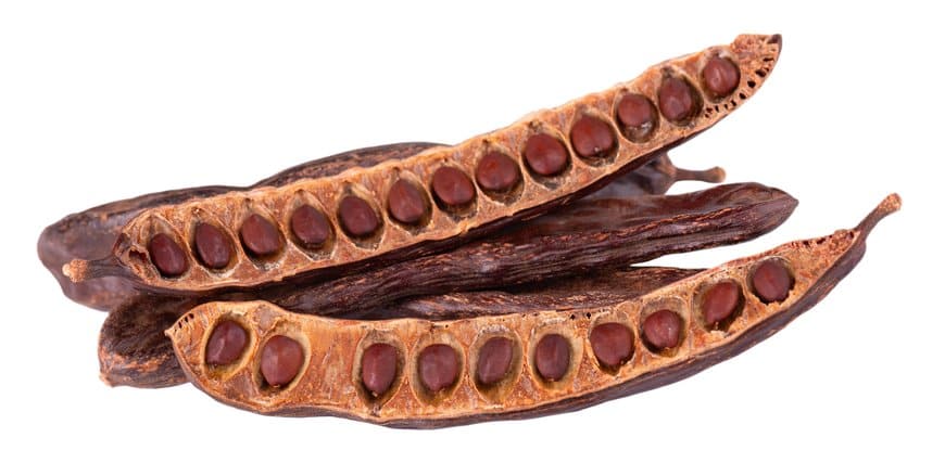 algarroba-abierta